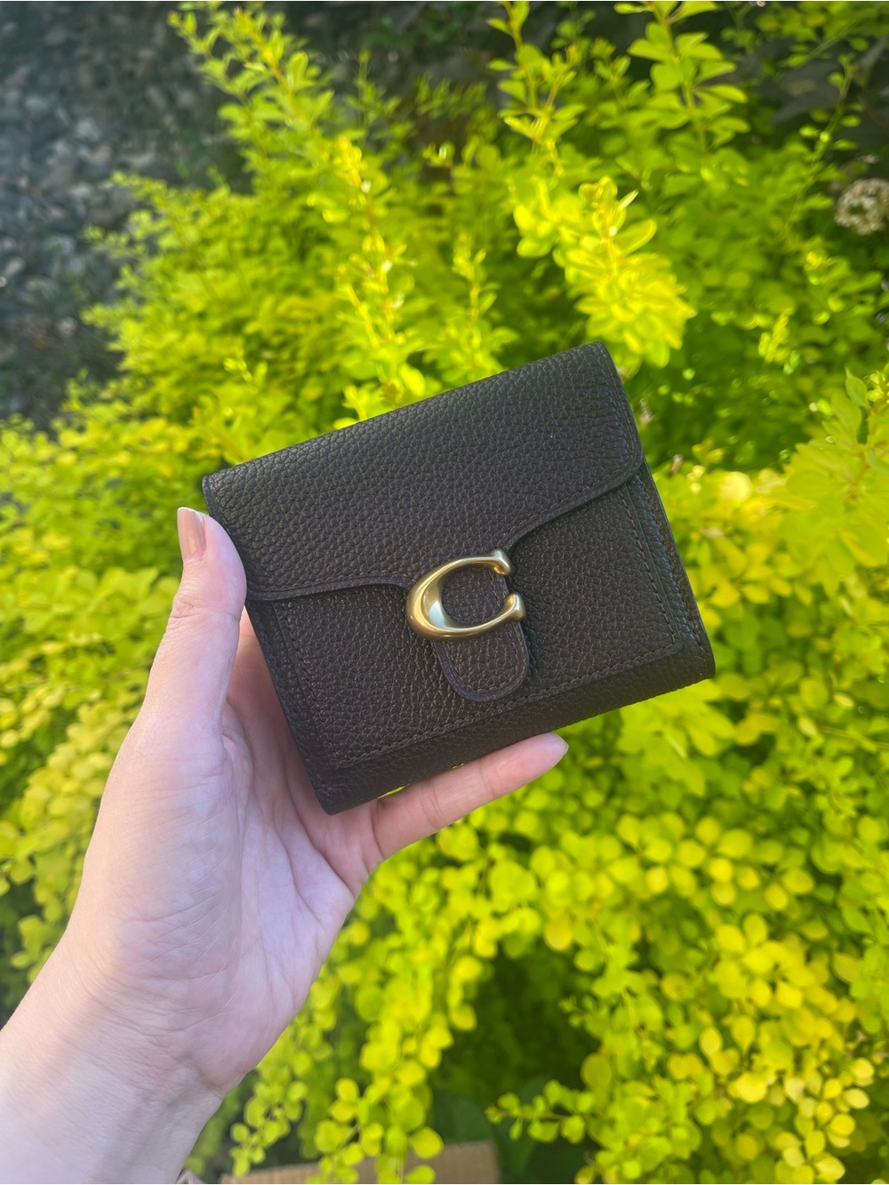 Coach Ladies Small Leather Tabby Wallet